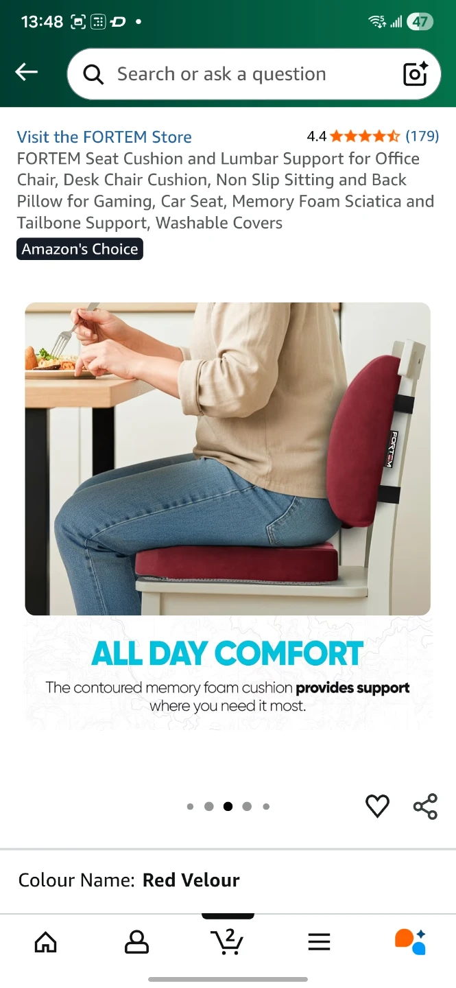 FORTEM Red Velour Lumbar Support Cushion - photo 2