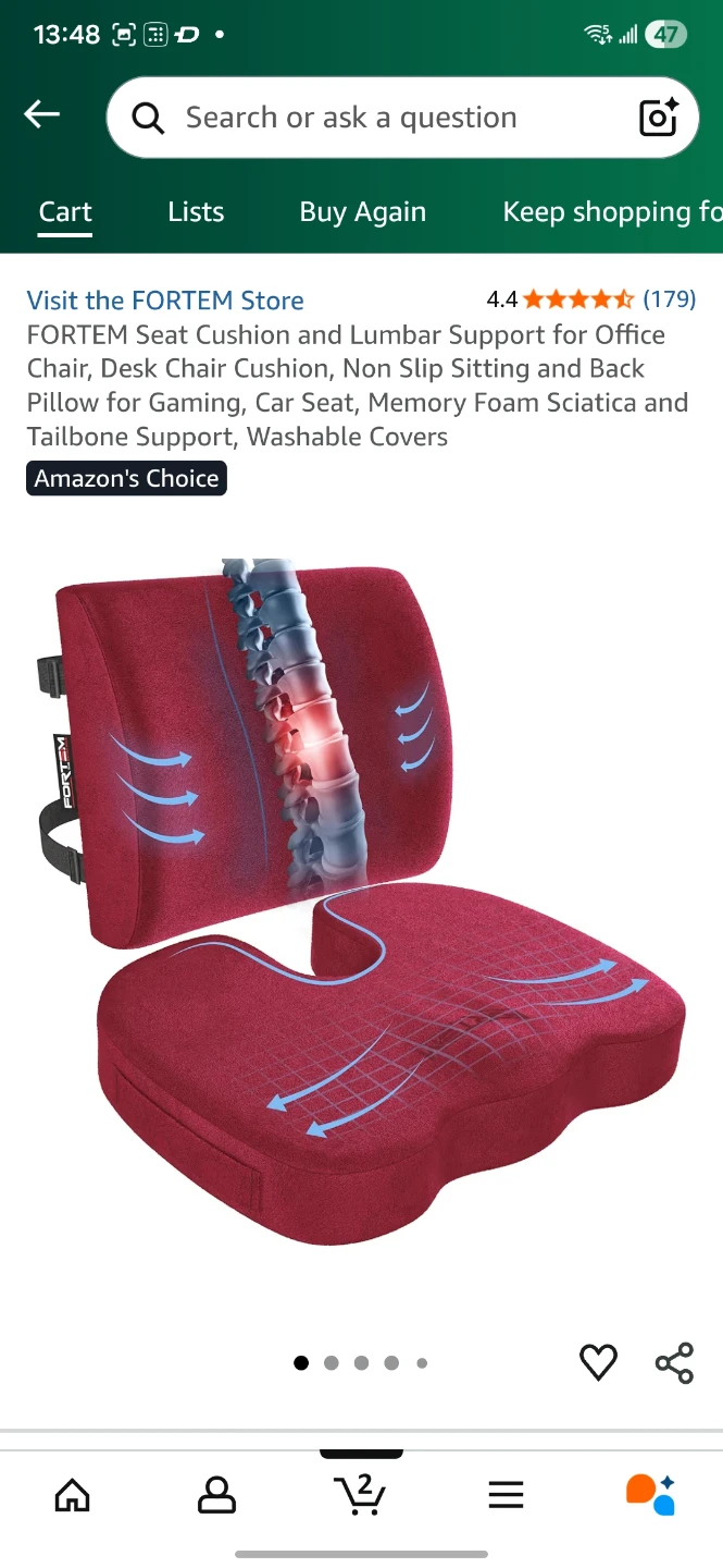 FORTEM Red Velour Lumbar Support Cushion - photo 3