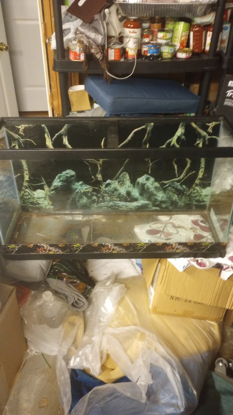 Large aquarium tank for pet