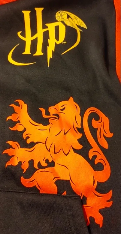 Harry Potter Hoodie #Cleanout image indicator(6)