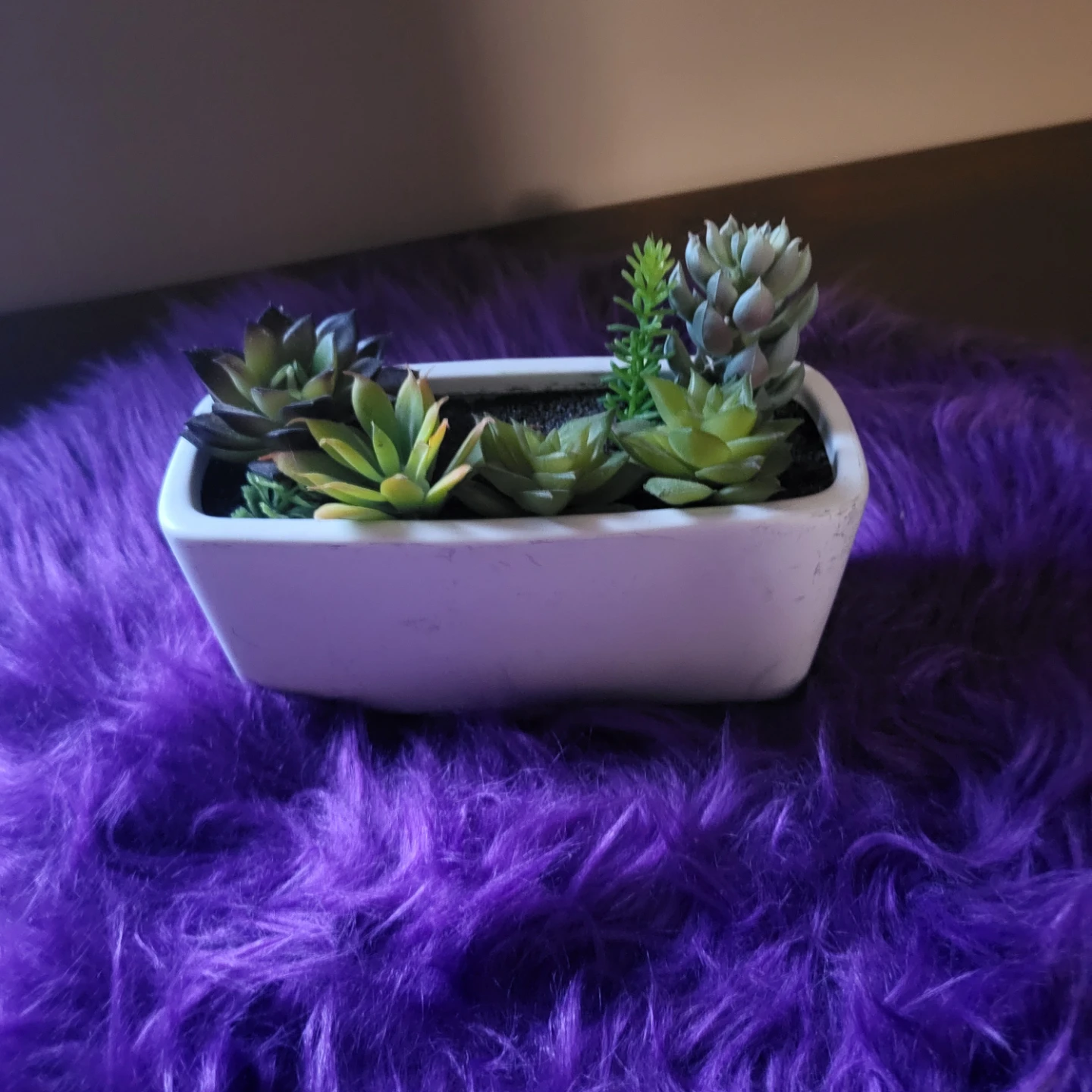 Artificial Succulent Arrangement in White Pot