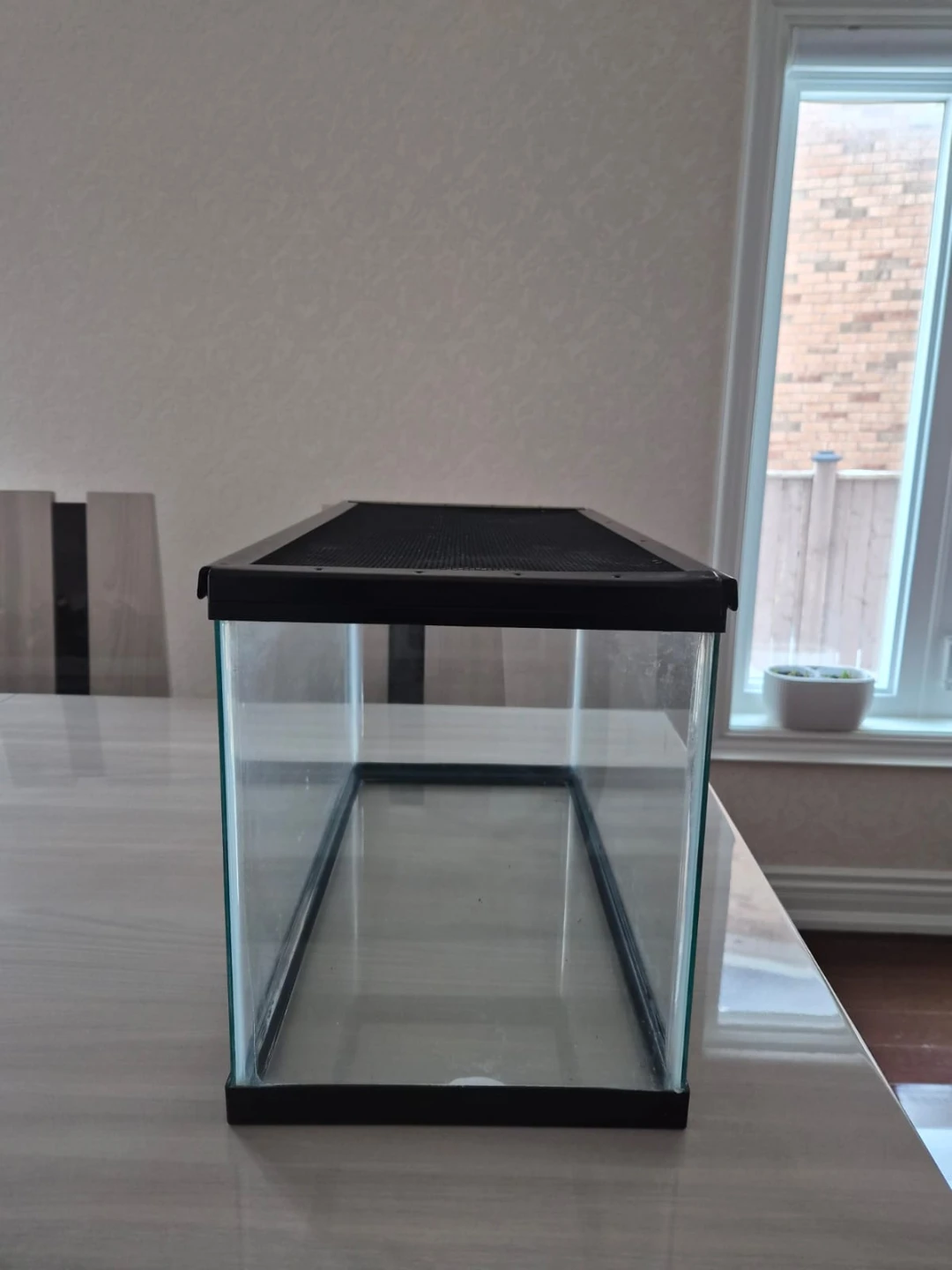 10 Gallon Glass Terrarium with Mesh Top/Lid