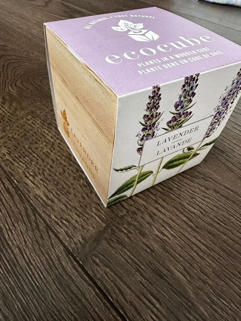 Ecocube Lavender Plants in a Wooden Cube