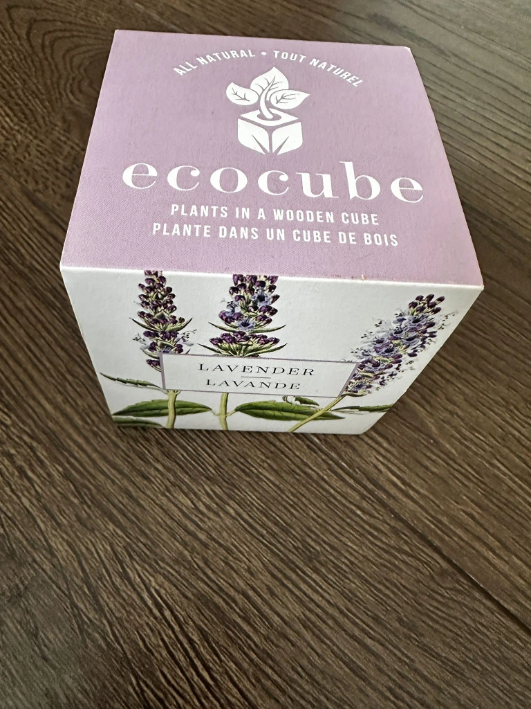 Ecocube Lavender Plants in a Wooden Cube - photo 2