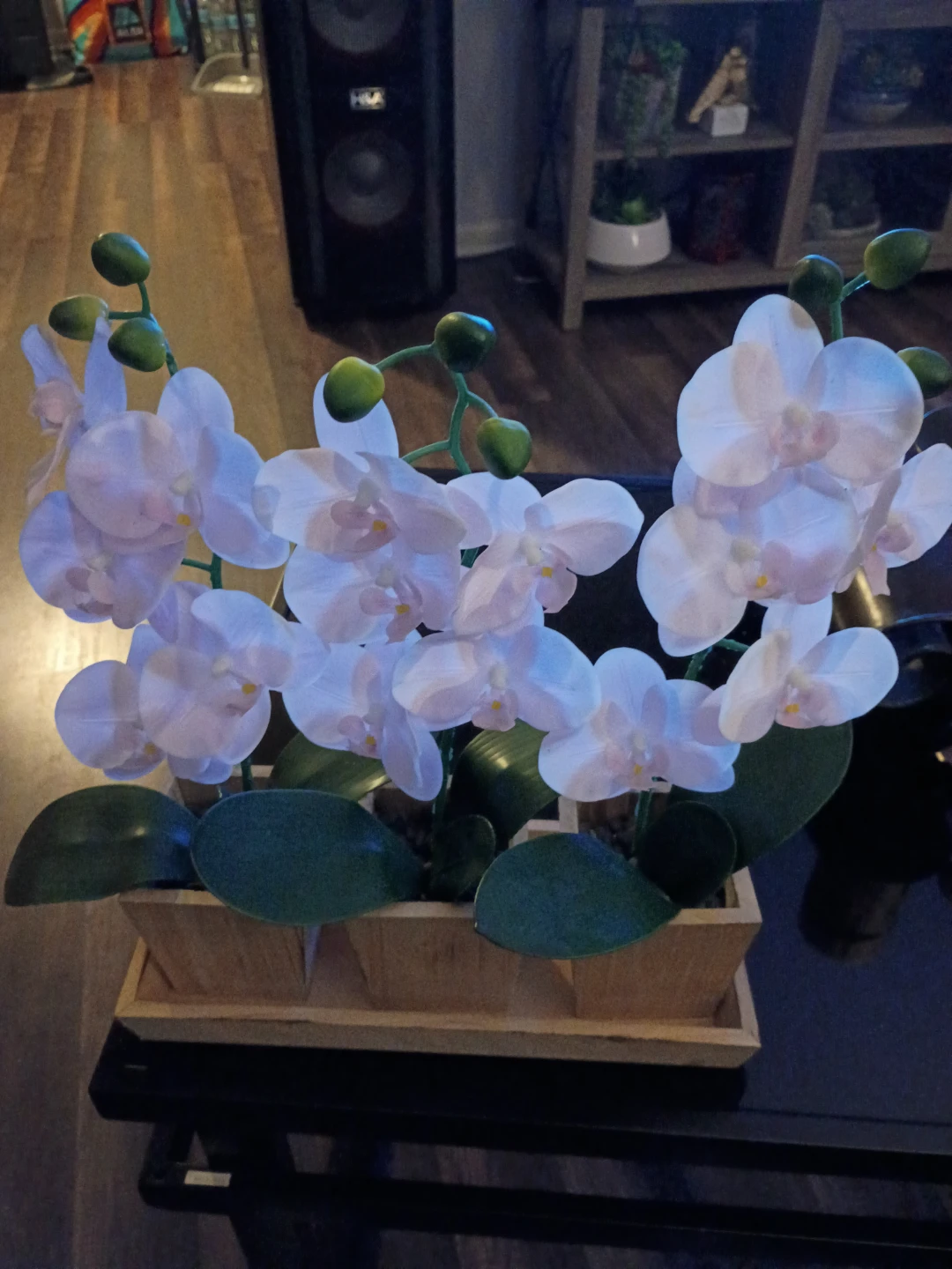 Artificial Orchid Plant in Wood Pot