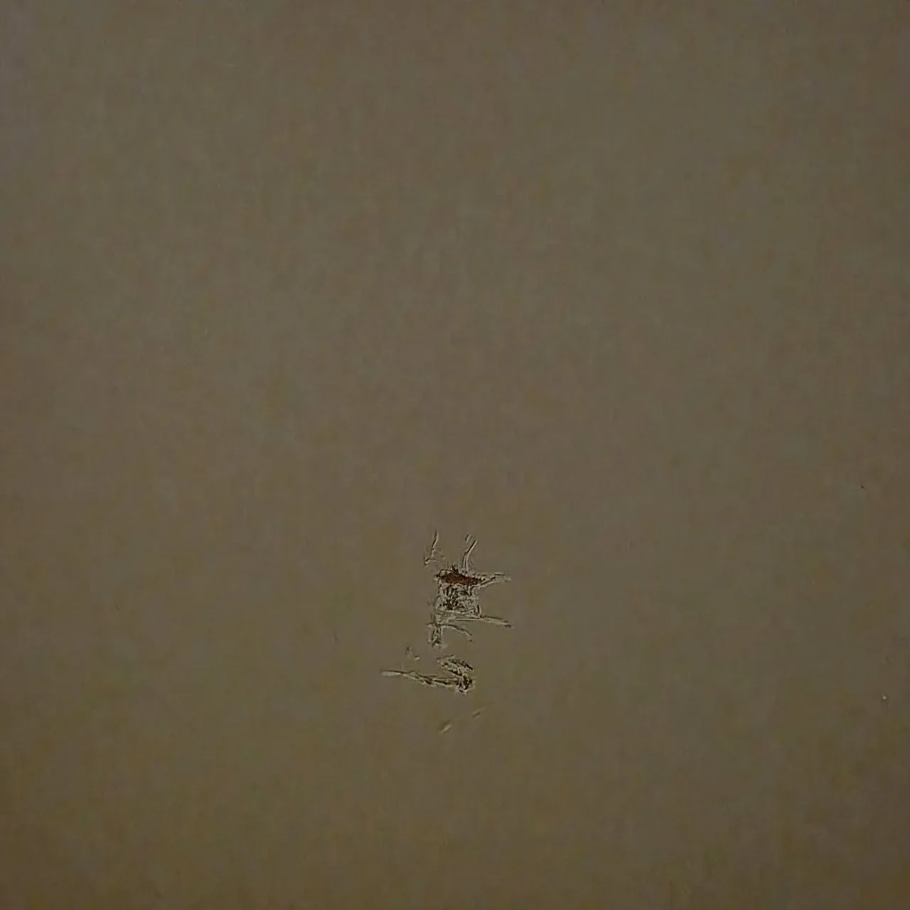 GZXS Vanity Set “24 image indicator(9)