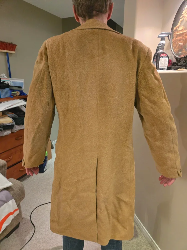 Camel hair coat image indicator(2)