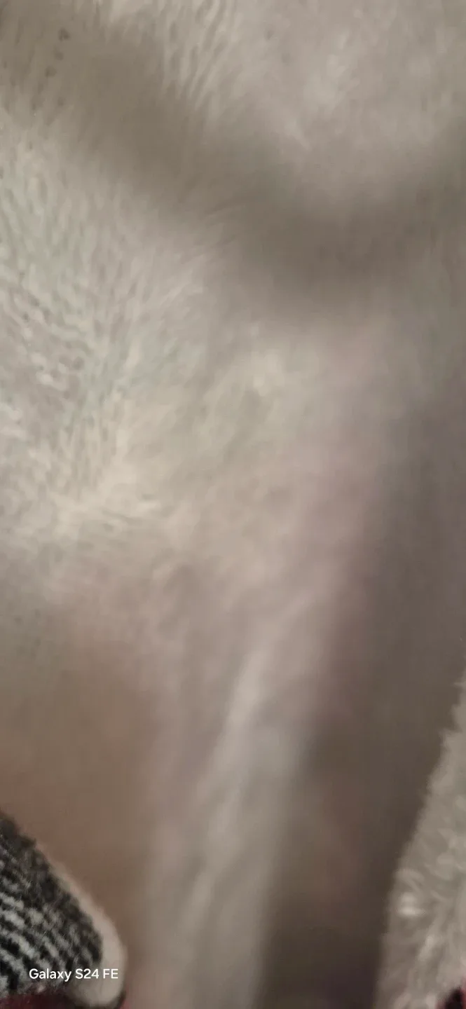 Ladies  xl winter jacket image indicator(3)