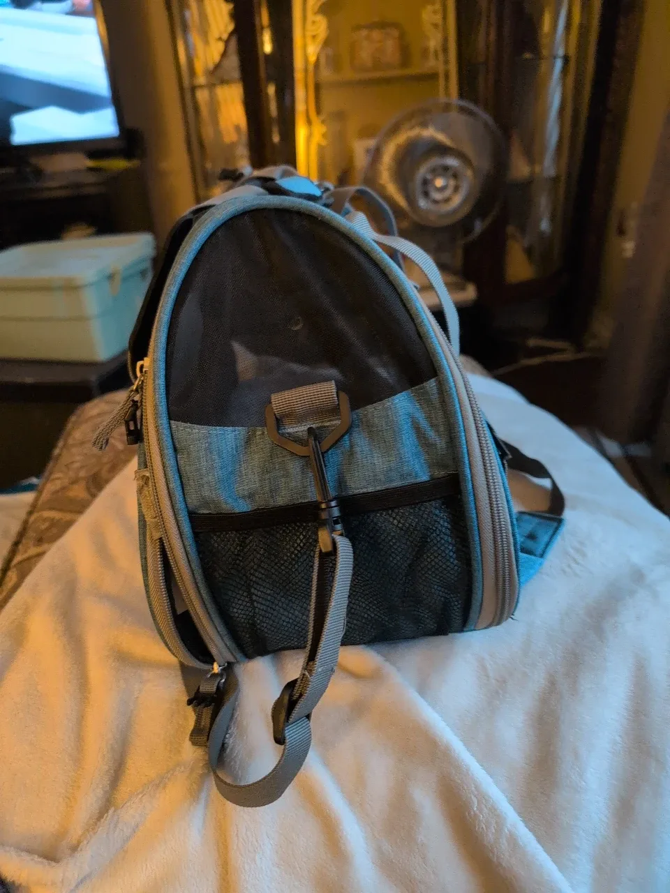 Bergan Pet Carrier - Blue image indicator(2)