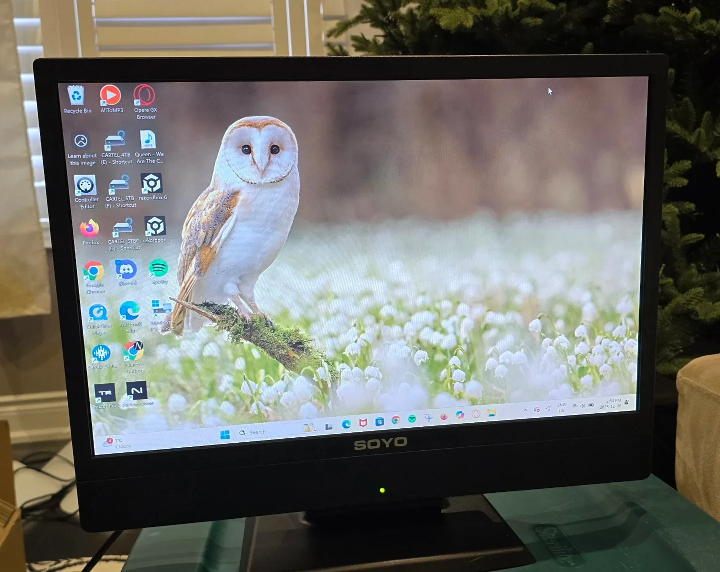 Soyo 19" Wide TFT LCD Monitor With Built-in Speakers!