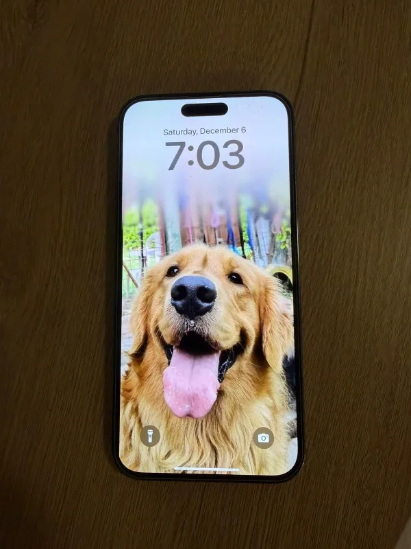 iPhone 14 Pro Max image indicator(2)