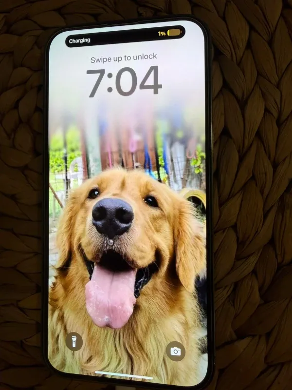 iPhone 14 Pro Max image indicator(3)