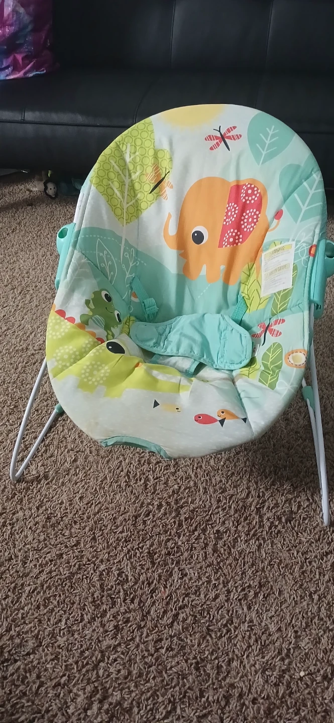 Infant-to-Toddler Rocker by Fisher-Price