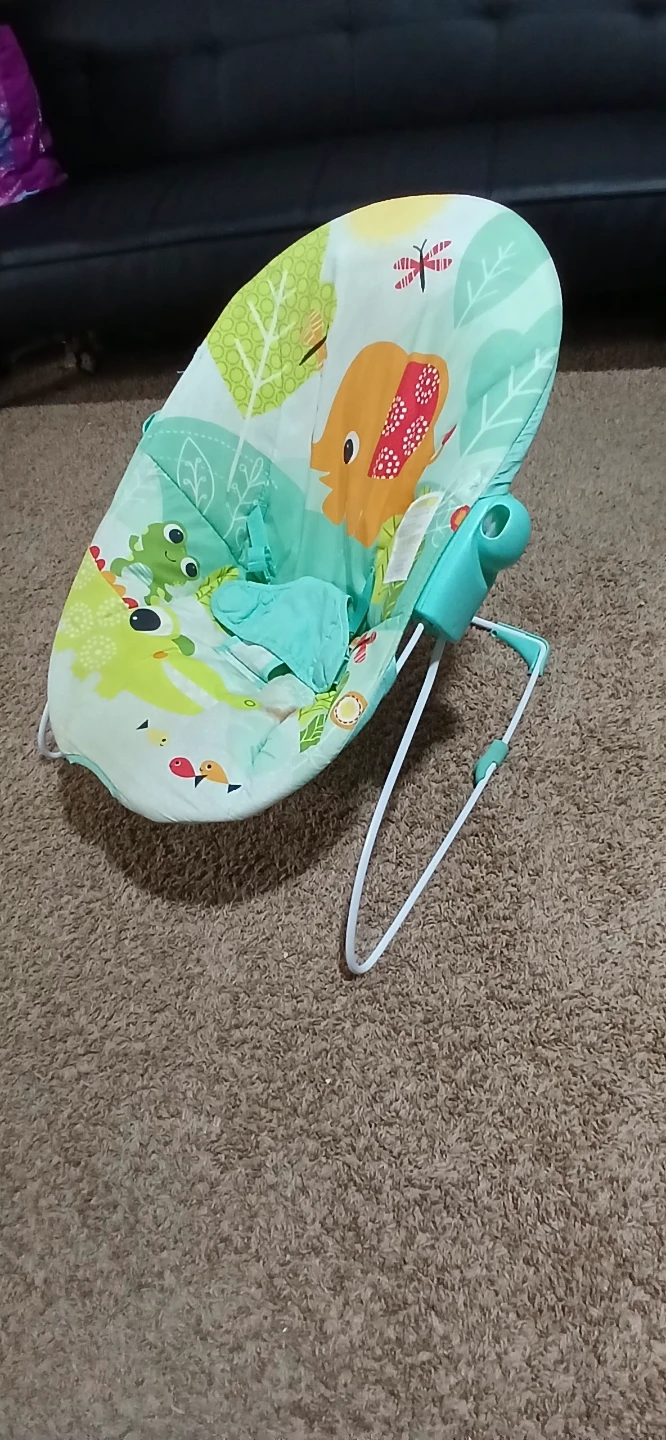 Infant-to-Toddler Rocker by Fisher-Price - photo 2