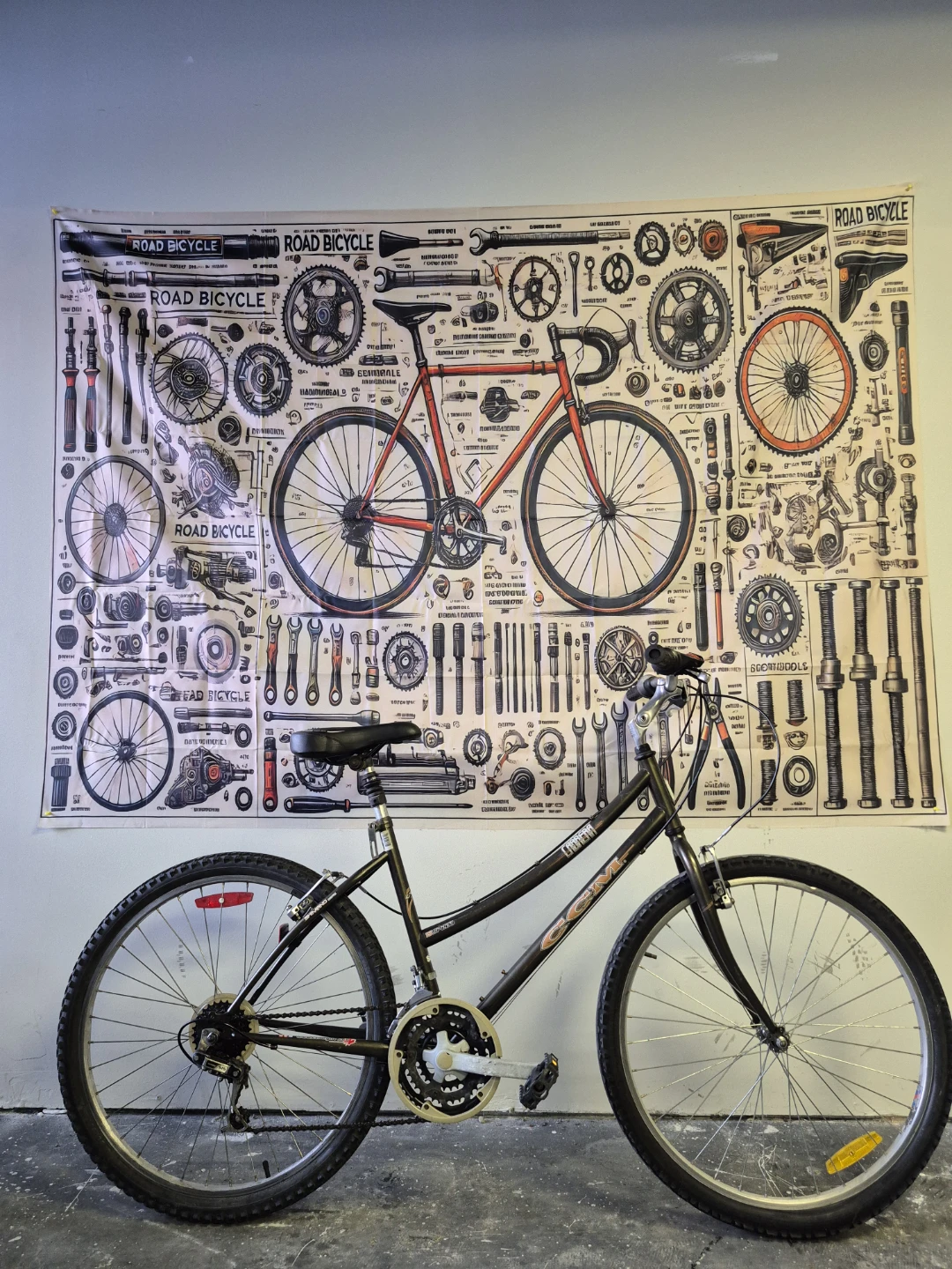 CCM Targa Mountain Bike