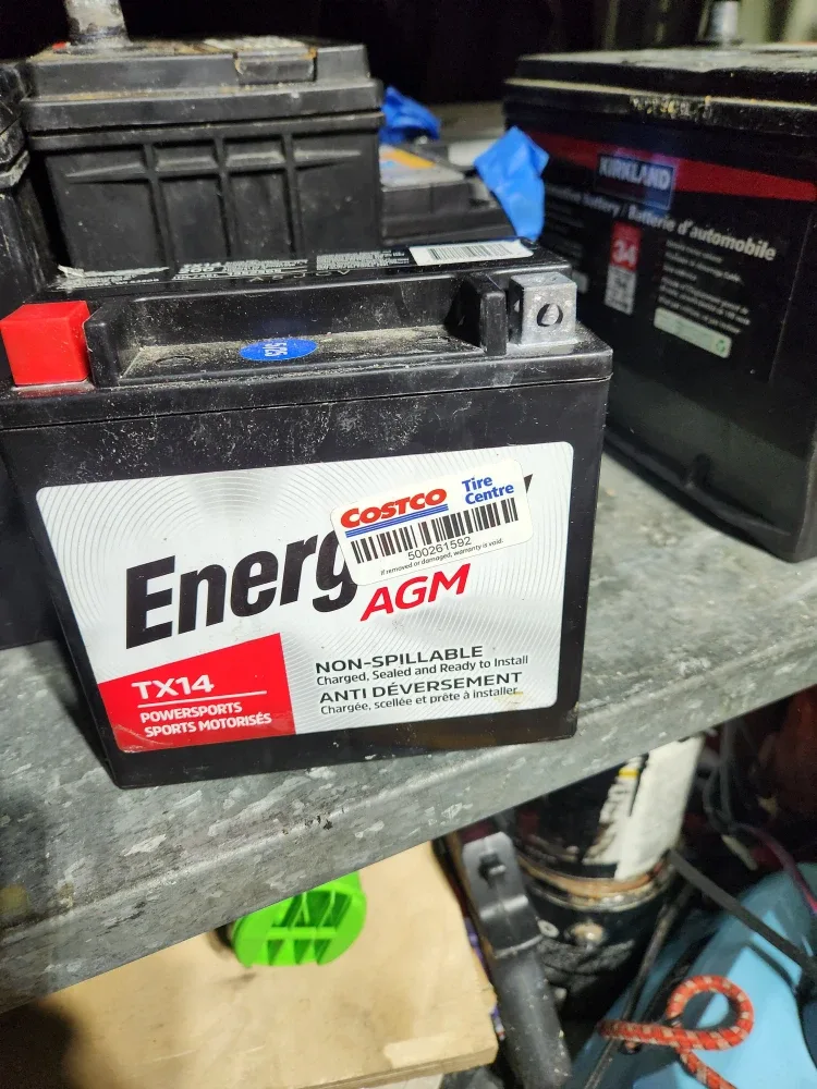 Motomaster OEPlus Automotive Battery image indicator(8)