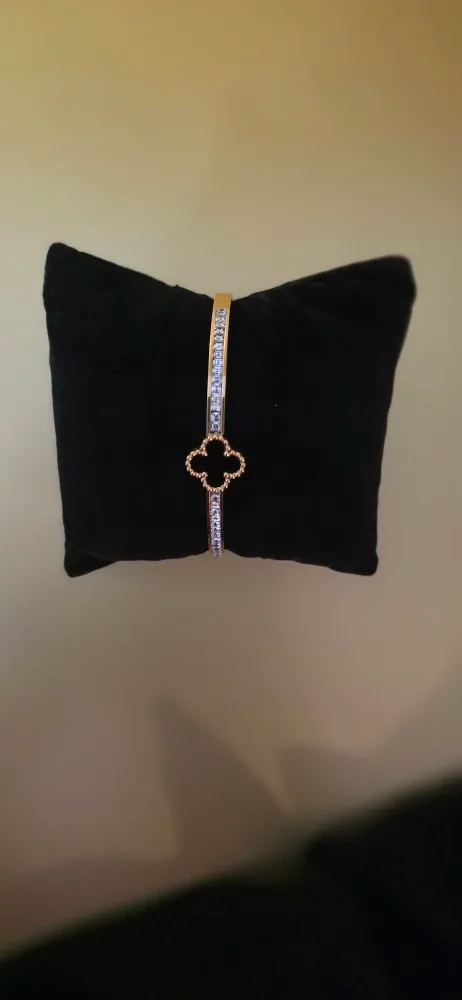 Van Cleef image indicator(4)