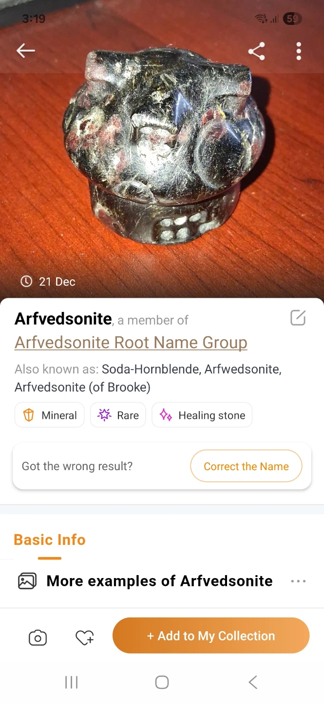 Arfvedsonite & Garnet Mineral Carved Mushroom House - photo 5