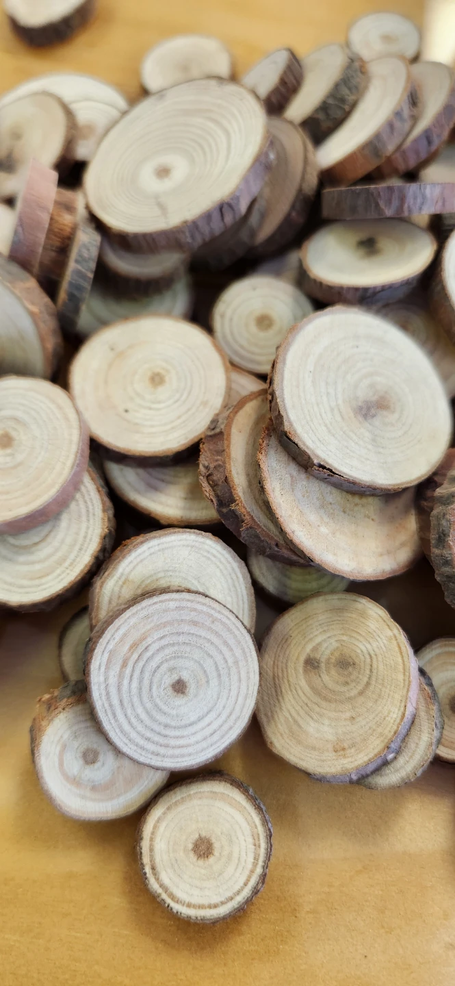 Wooden Tree Slices 0.39 to 0.79 inches