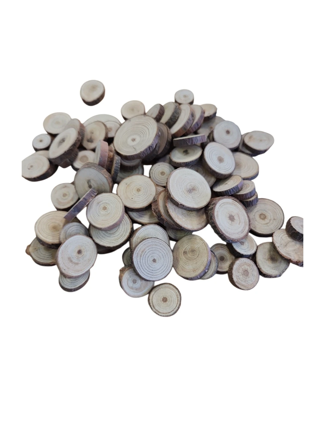 Wooden Tree Slices 0.39 to 0.79 inches - photo 2