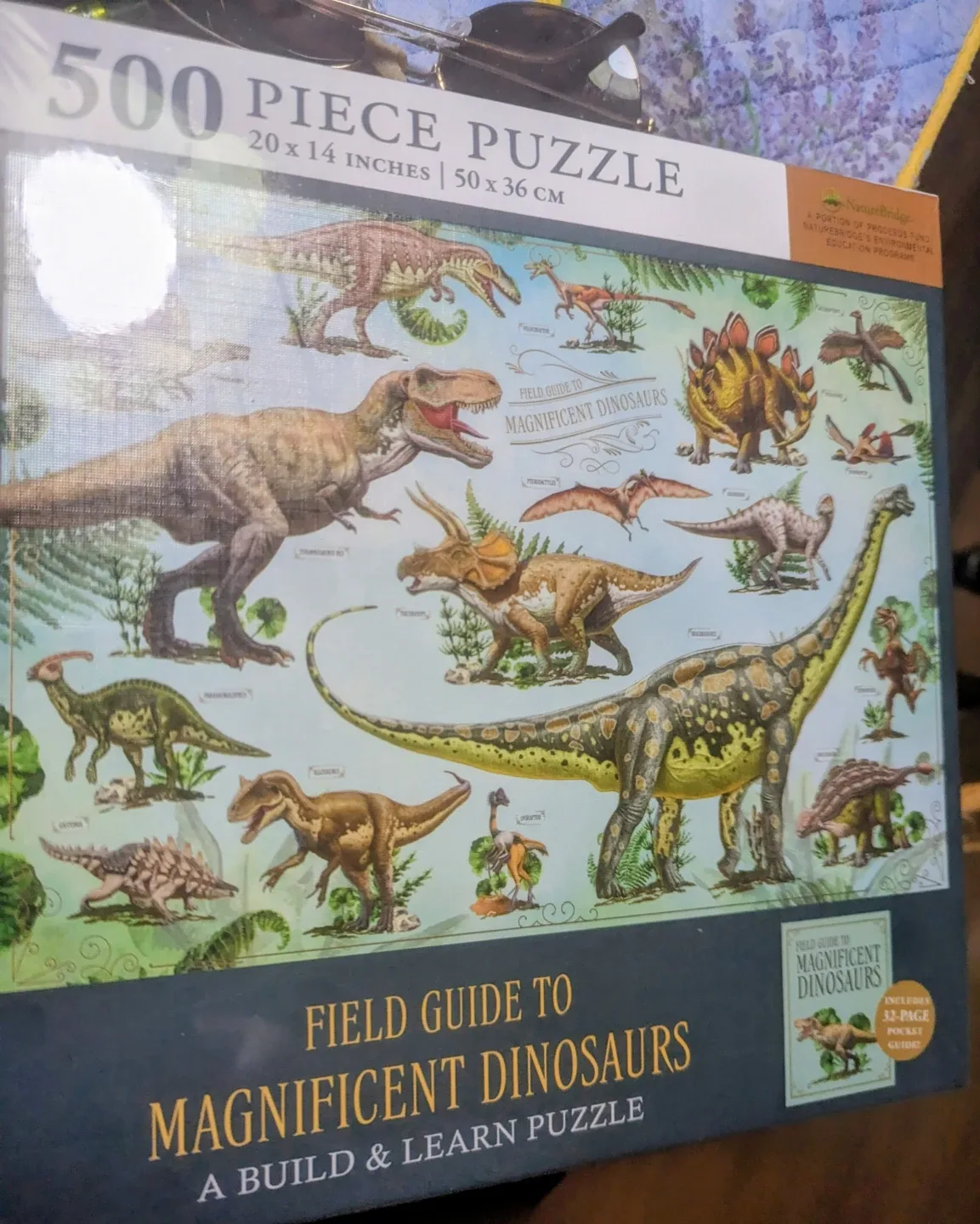 New Field 500 Piece Dinosaur Puzzle