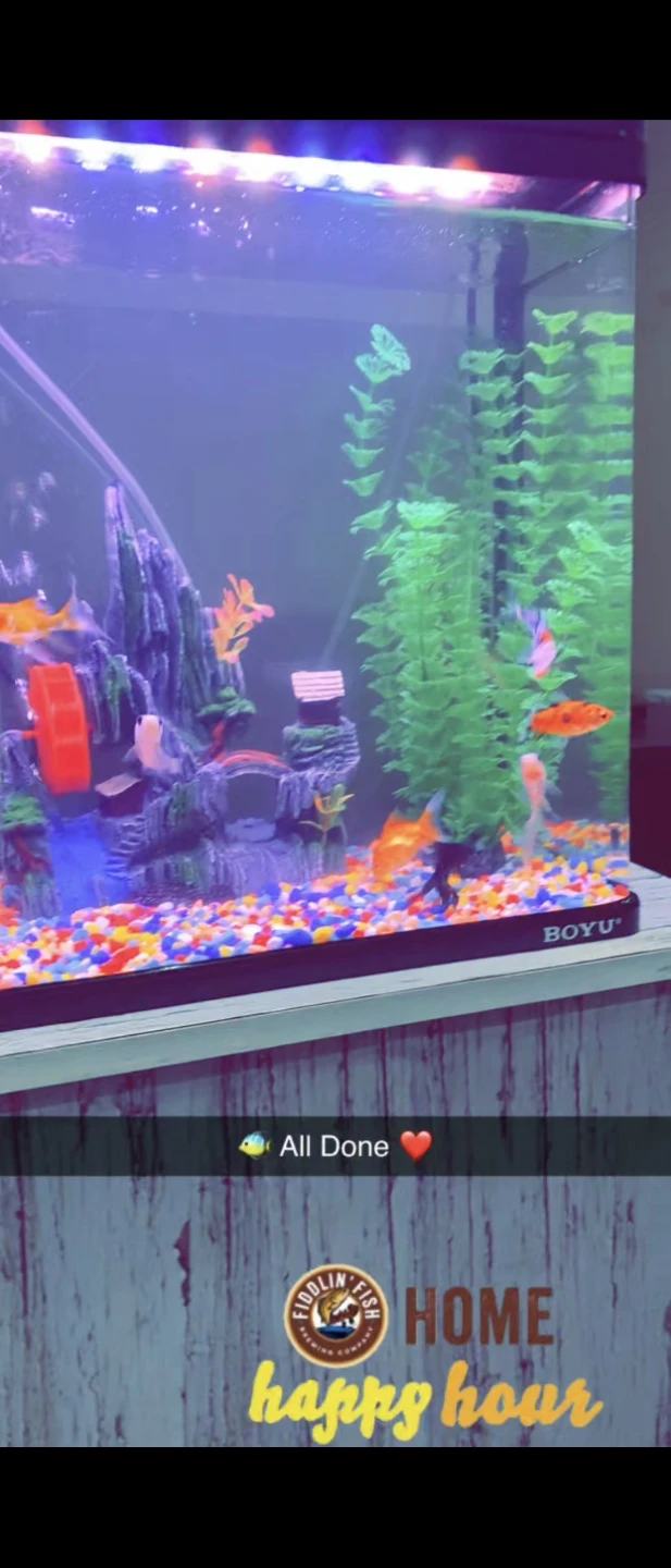 Aquarium Fish Tank with Accessories - photo 4