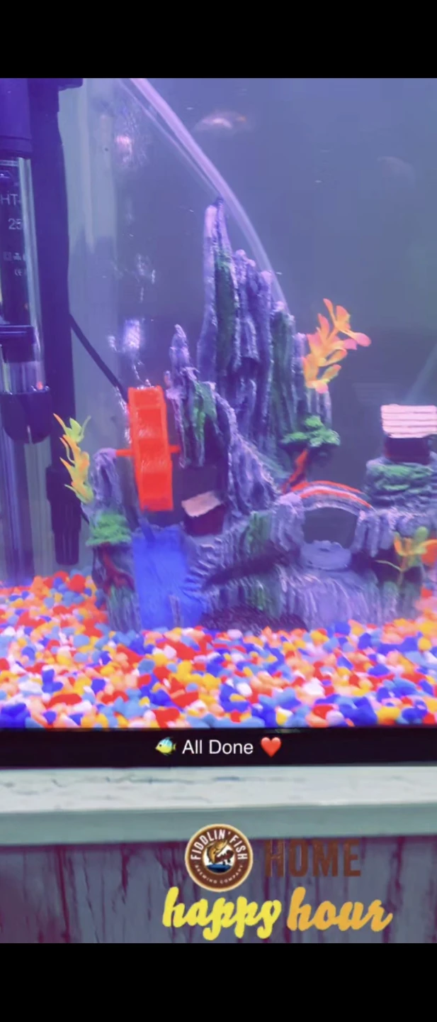 Aquarium Fish Tank with Accessories - photo 5