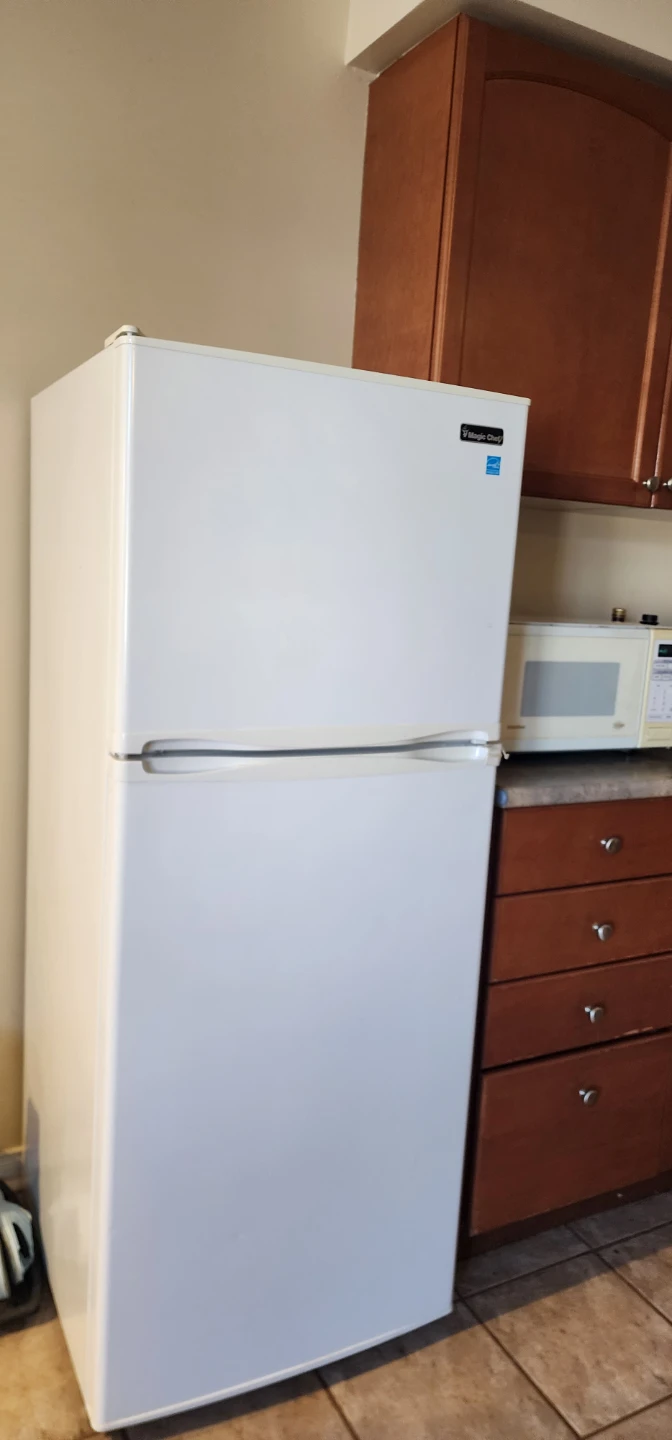 10.1 cb ft Compact White Fridge - photo 2