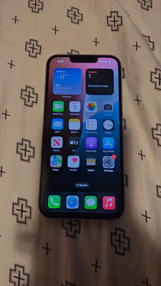 iPhone 14 Purple with Privacy Screen & Case