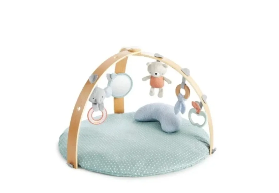 Wooden Baby Walker and Ingenuity cozy gym image indicator(4)