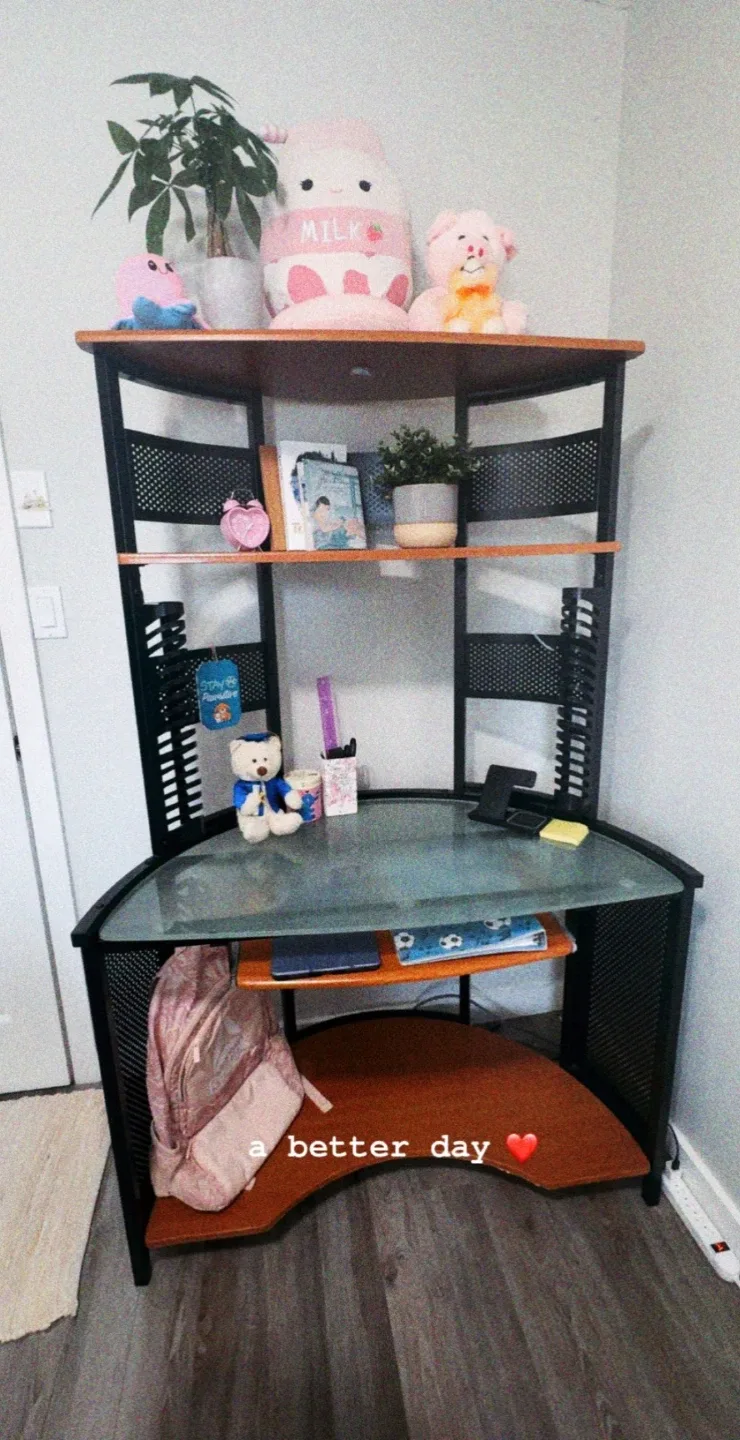 Corner Desk with Shelves