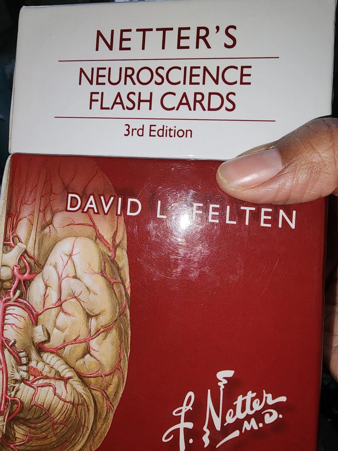 Netter's Neuroscience Flash Cards 3rd Edition