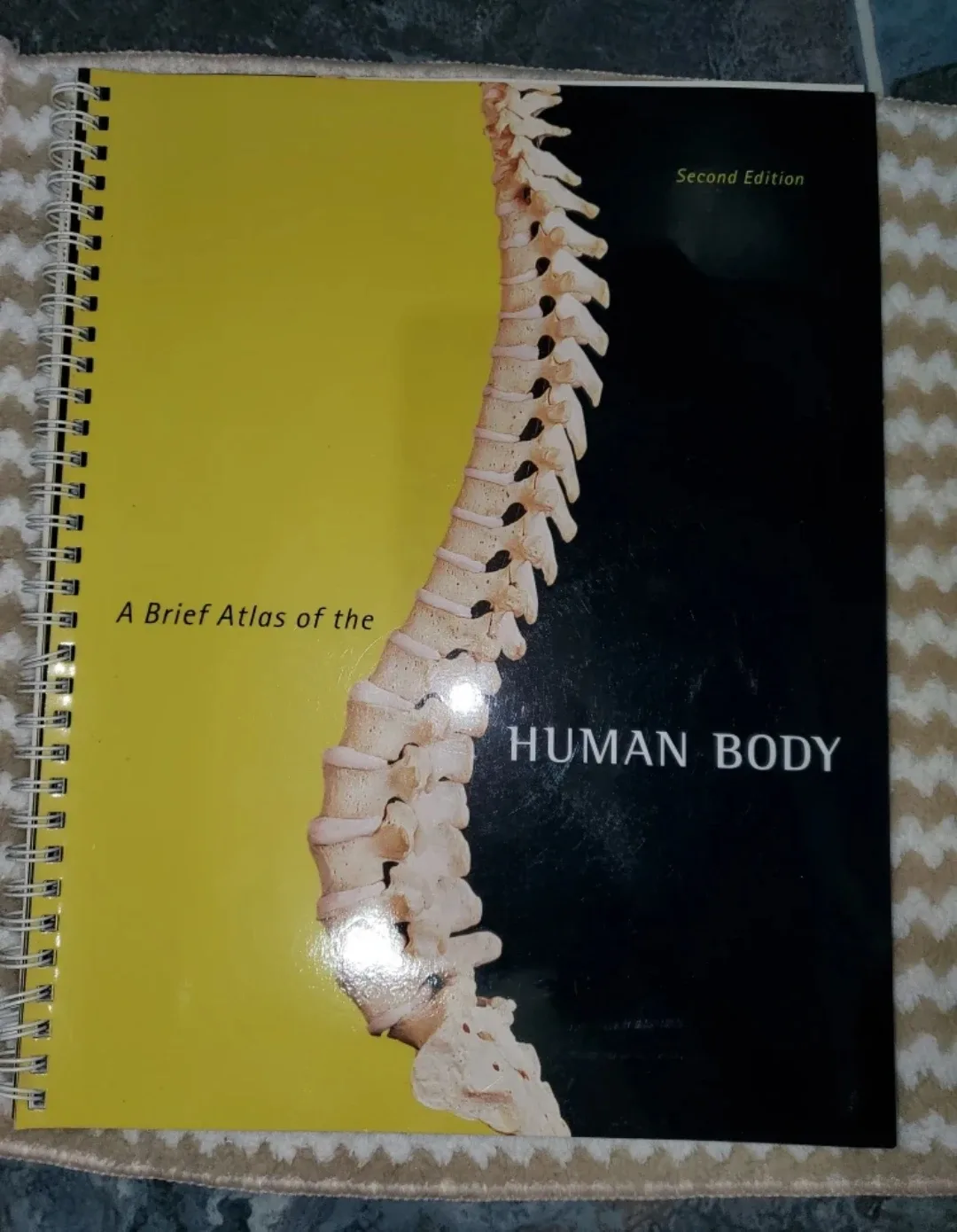 A Brief Atlas of the Human Body