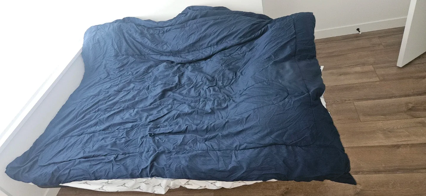 Convertible Sofa Bed - Great Condition!