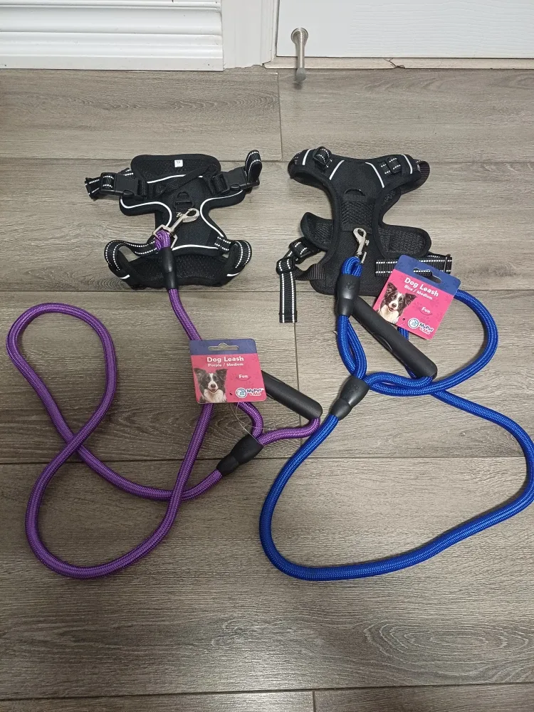 2x Top Paw Dog Harnesses & Leashes - Small image indicator(2)