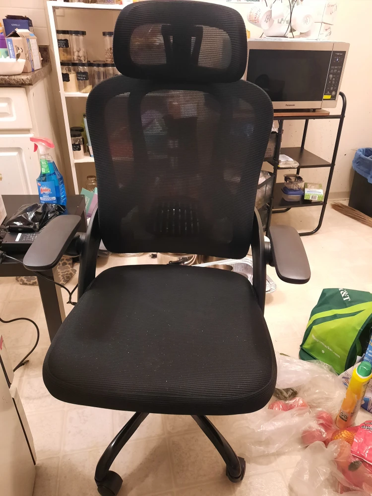 Ergonomic Mesh Office Chair - Black - photo 2