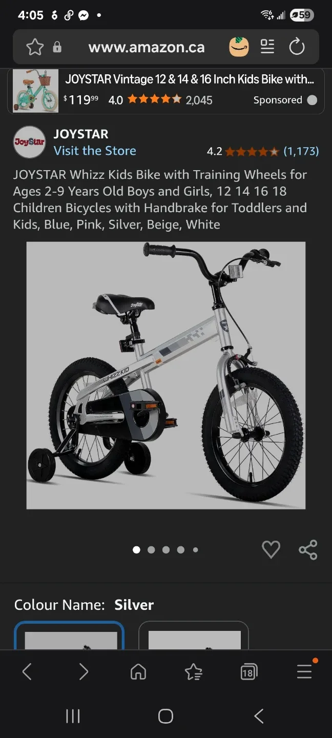 Whizz Kids Bike with Training Wheels New