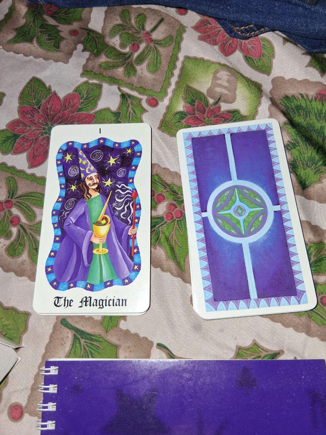 Tarot Deck by Sasha Fenton image indicator(2)