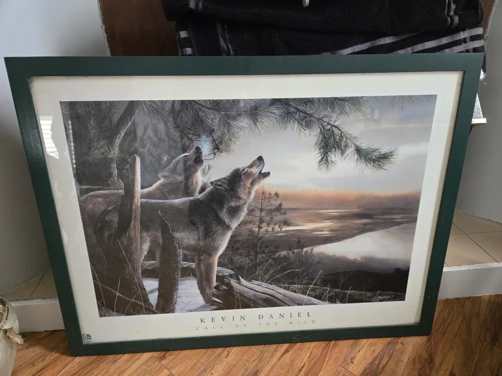 Kevin Daniel 'Call of the Wild' Framed Print