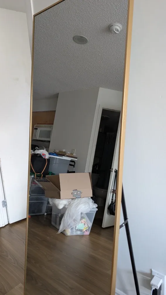 Full Length Gold Frame Mirror image indicator(2)