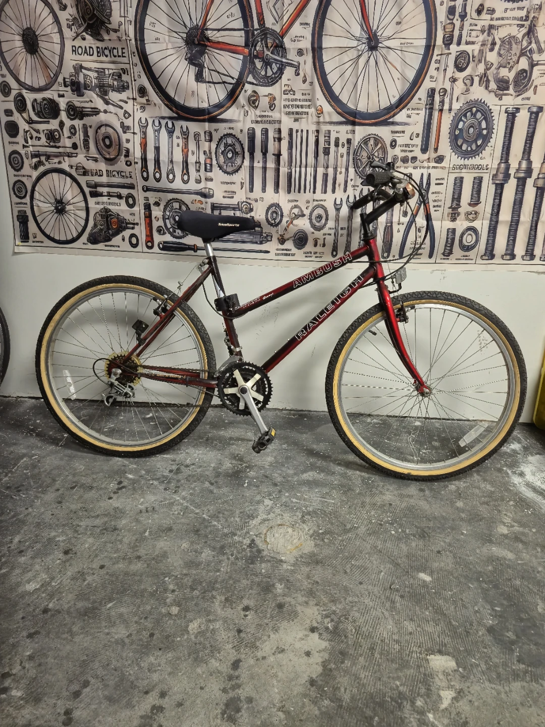Raleigh Ambush Mountain Bike