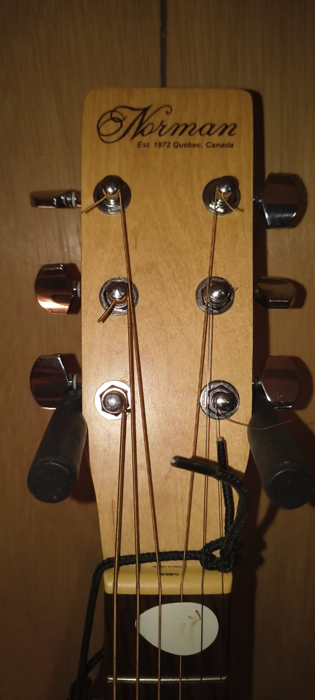 Norman Expedition Nat Solid Spruce SG EQ Guitar - photo 2