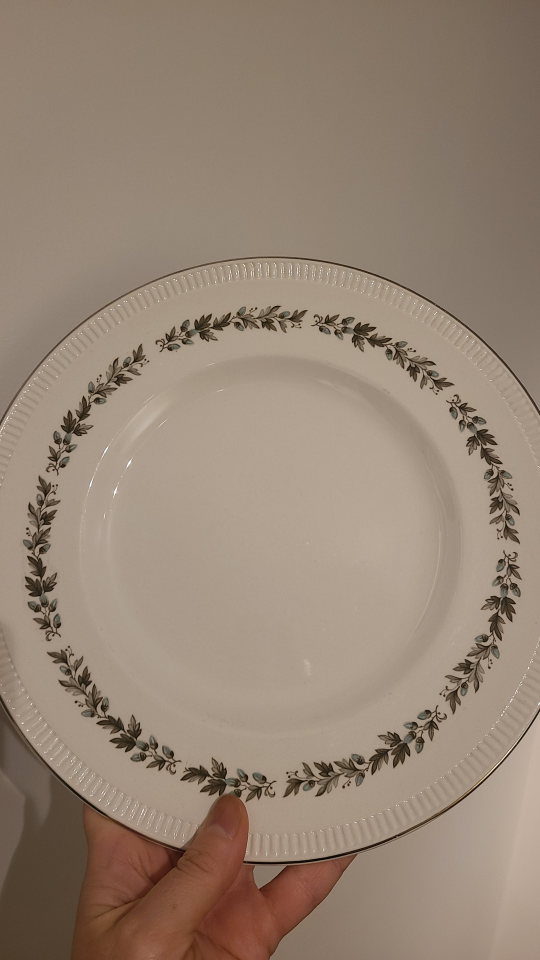 Set of 4 Chinastyle Roanoke Fine Earthenware Plates