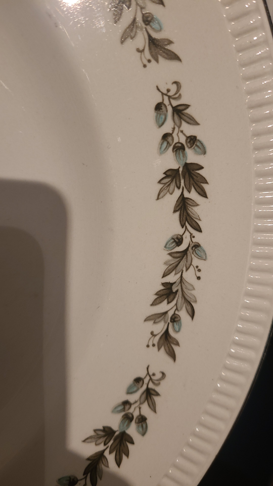 Set of 4 Chinastyle Roanoke Fine Earthenware Plates - photo 2