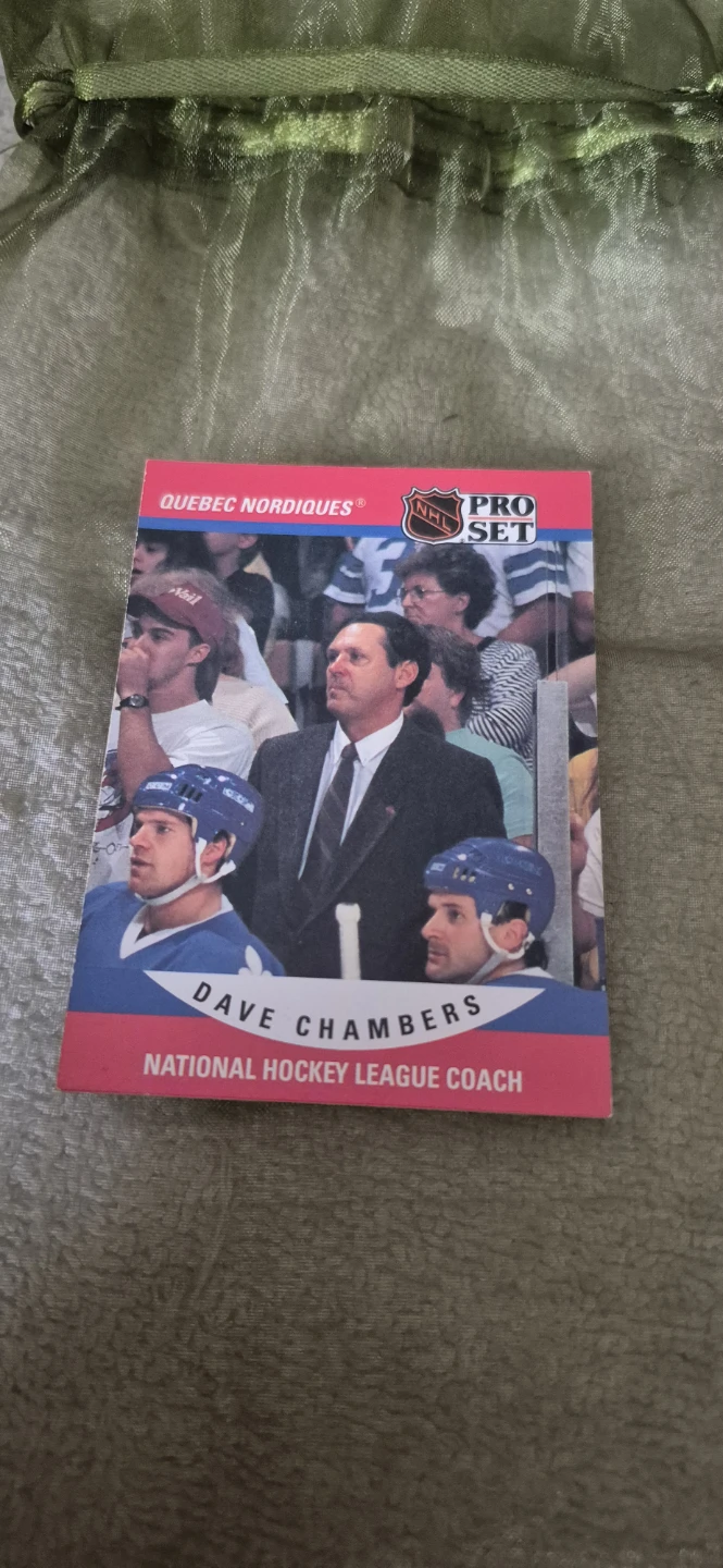 Dave Chambers Quebec Nordiques Pro Set NHL Card