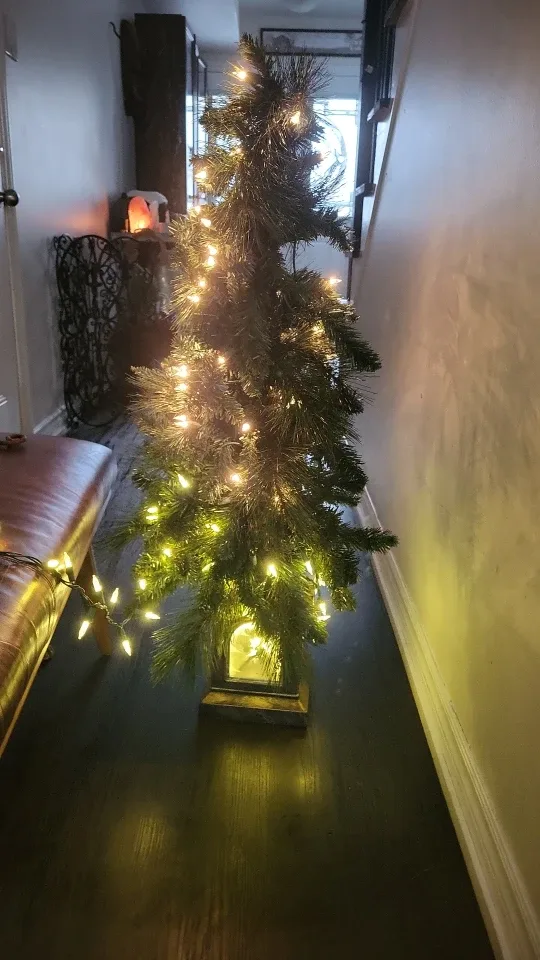 4ft TOMA Outdoor Pre-Lit Christmas Tree image indicator(2)