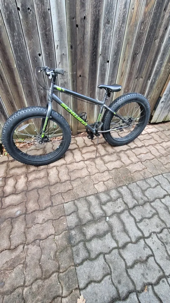 Schwinn Big City Fat Tire Bike - Great Condition!