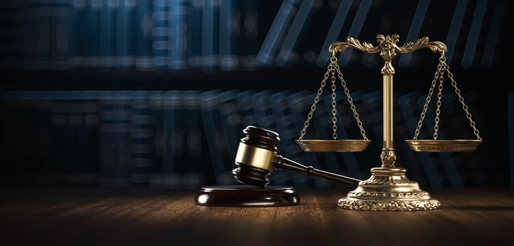 Paralegal and law services