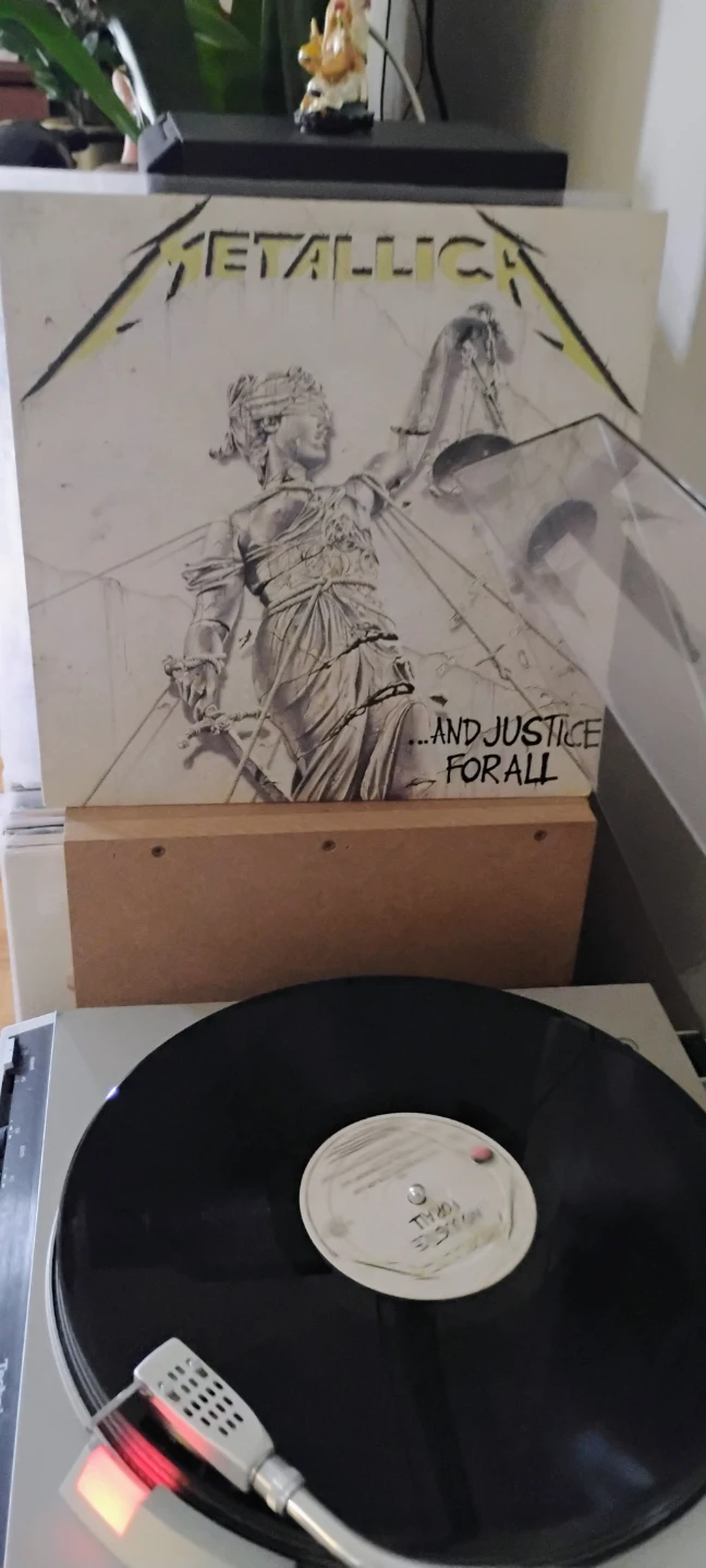 Metallica Vinyl Records Collection - photo 3