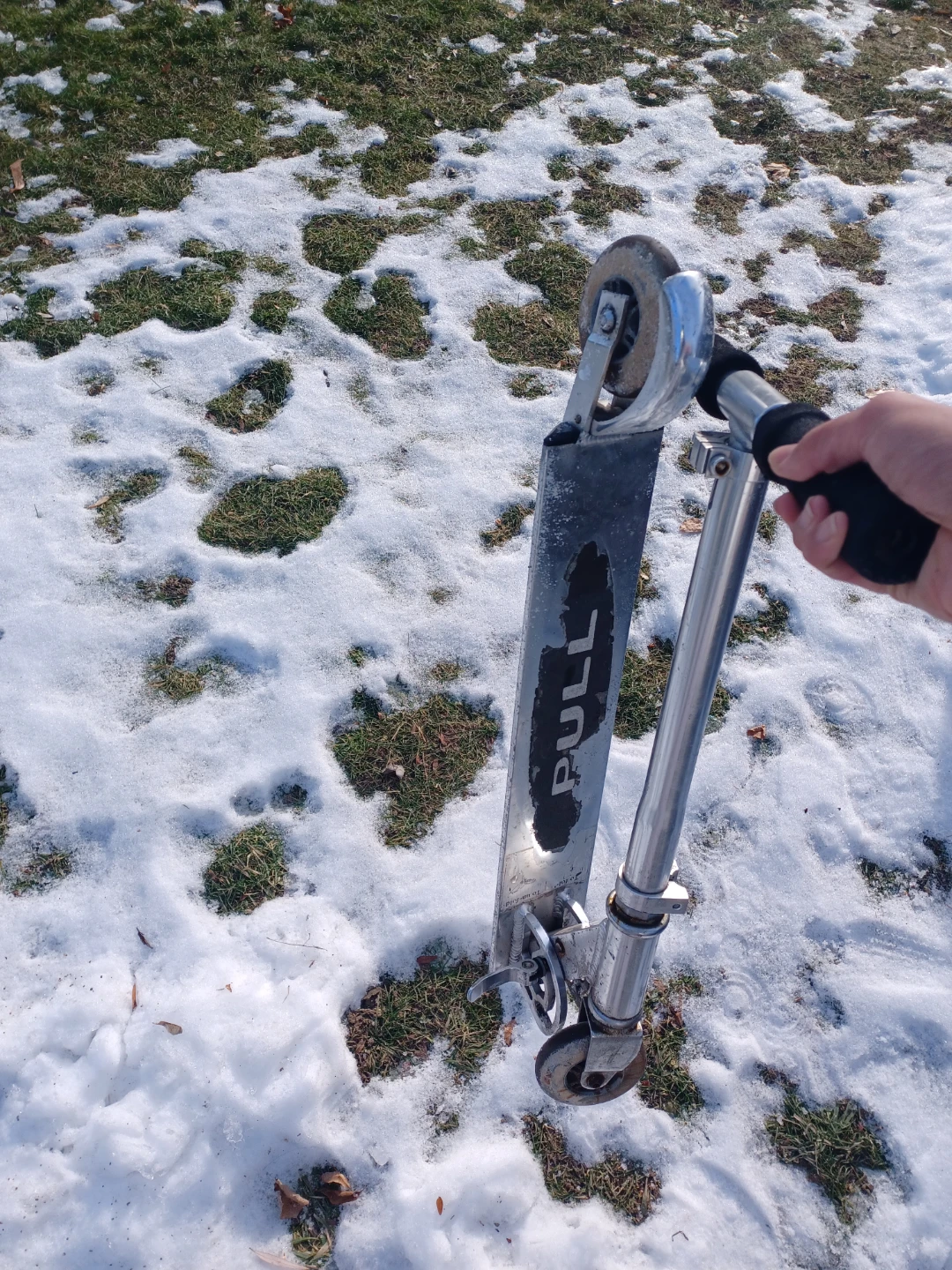 Pull Scooter